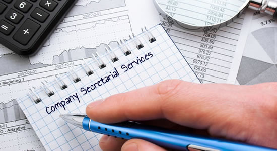 company-sec-services Secretarial Services Image